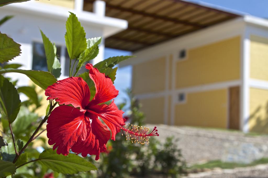 B&B El Mirador Al Mar Sosúa Exterior foto